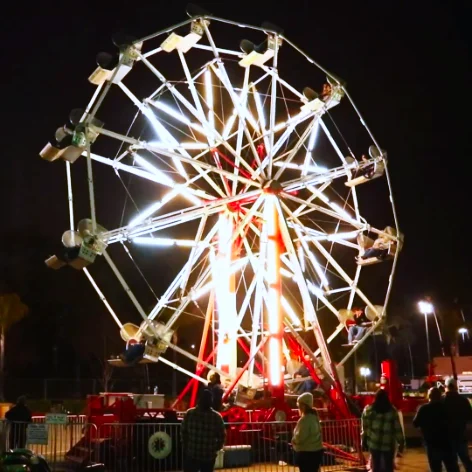 Family carnival ride